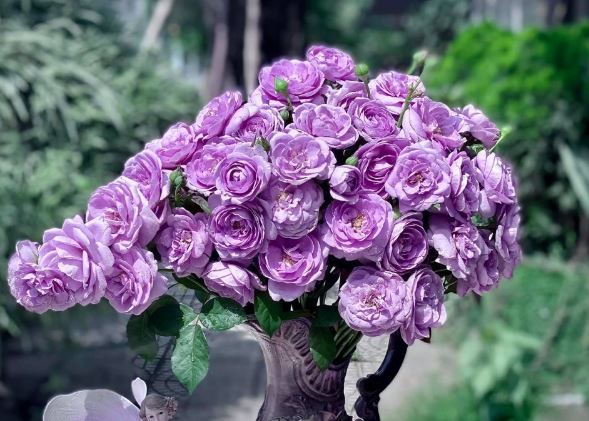 Tử vi hàng ngày - Thứ Ba 5/3/2024 của 12 cung hoàng đạo