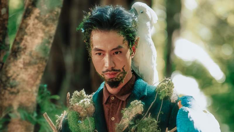 Đen hóa cây cổ thụ trong rừng già, gửi gắm thông điệp bảo vệ môi trường qua MV mới