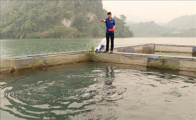 Khơi dậy khát vọng, ý tưởng khởi nghiệp của thanh niên Lai Châu