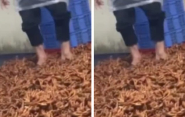 Rùng mình hình ảnh chân gà siêu cay trên TikTok bị giẫm đạp, đổ đống dưới đất: Nhìn thế này liệu còn ai dám ăn?