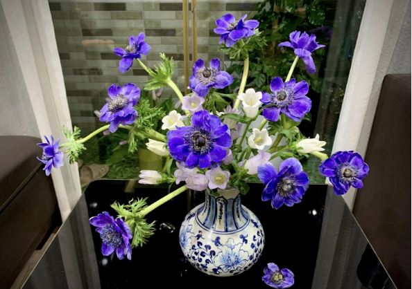 Tử vi hàng ngày - Thứ Năm 7/3/2024 của 12 cung hoàng đạo