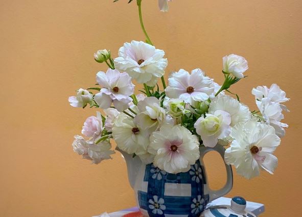 T&#x1EED; vi h&#xE0;ng ng&#xE0;y - Th&#x1EE9; S&#xE1;u 8/3/2024 c&#x1EE7;a 12 cung ho&#xE0;ng &#x111;&#x1EA1;o