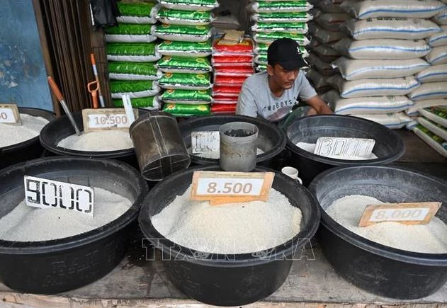 Gạo được bán tại một cửa hàng ở Jakarta, Indonesia. Ảnh: AFP/ TTXVN