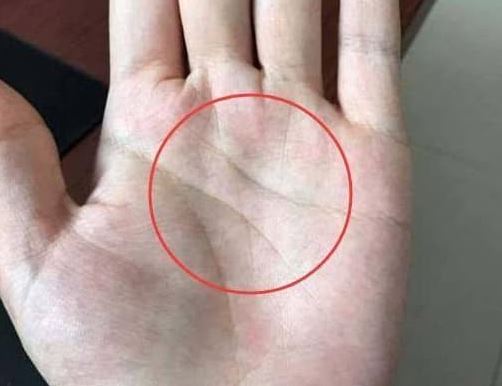 Hai đường này quyết định vận mệnh và vận may của cuộc đời bạn!