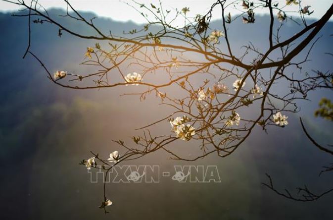 Diễn show thực cảnh 'Huyền tích UVA' trong Năm Du lịch Quốc gia 2024