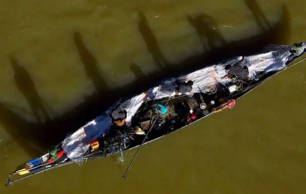 20% loài cá trên sông Mekong đối mặt nguy cơ tuyệt chủng