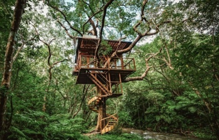 Độc đáo khách sạn trên cây ở Nhật Bản