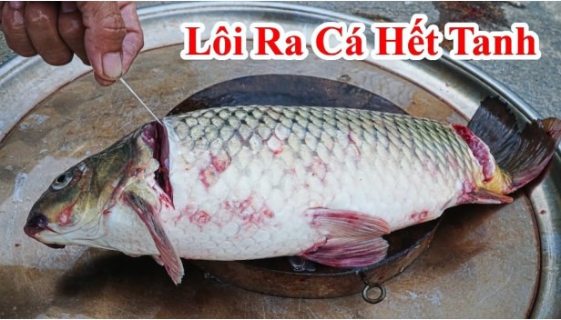Rửa cá đổ nước lã vào bảo sao tanh ngòm, ngâm vào nước này 1 phút khử hết mùi, ngọt thịt