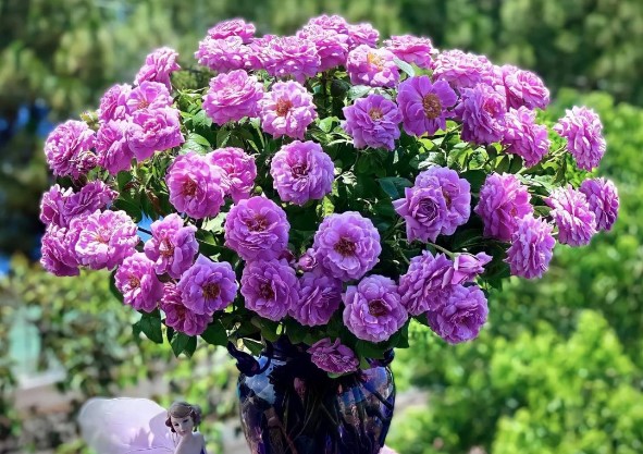 T&#x1EED; vi h&#xE0;ng ng&#xE0;y - Th&#x1EE9; Hai 11/3/2024 c&#x1EE7;a 12 cung ho&#xE0;ng &#x111;&#x1EA1;o