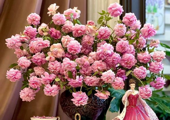 Tử vi hàng ngày - Thứ Tư 13/3/2024 của 12 cung hoàng đạo