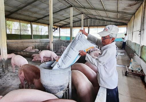 Giá heo hơi hôm nay 14/3/2024: Tăng rải rác 1.000 - 2.000 đồng/kg