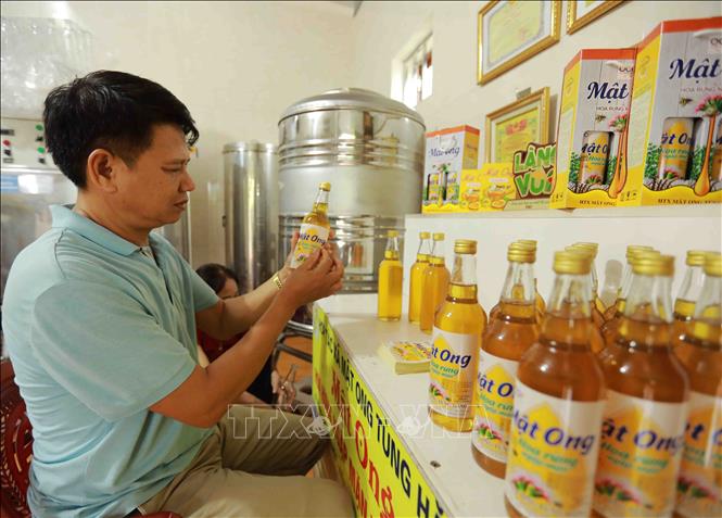 Linh hoạt trong quảng bá sản phẩm OCOP 