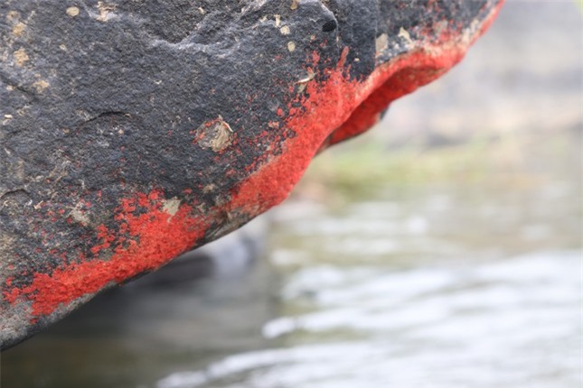 Hiện tượng lạ: Tảng đá 'nở hoa' ở Quảng Nam ảnh 3