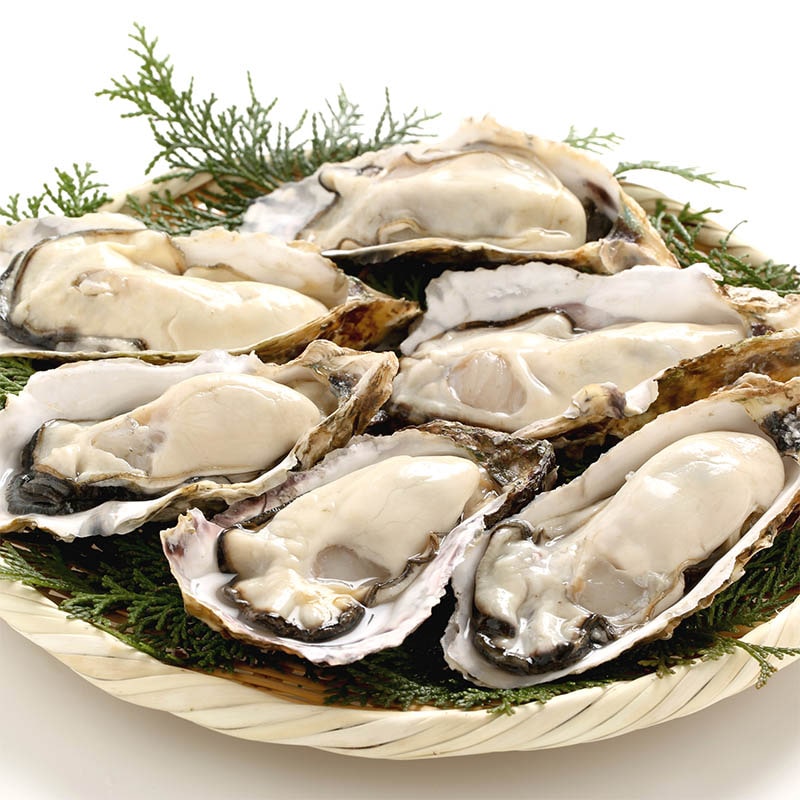 Bí quyết tách vỏ hàu vừa nhanh vừa dễ lại không đau tay