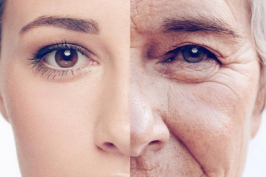 Vì sao khi già đi, chúng ta lại còng lưng, tóc chuyển sang màu trắng và da nhăn nheo, có vết đồi mồi?