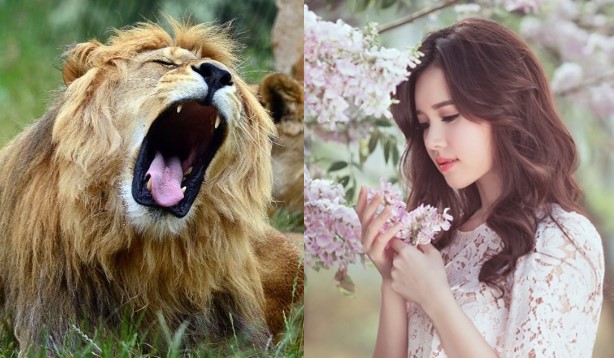 Tại sao gọi người vợ hung dữ là ‘sư tử Hà Đông’? Hà Đông là nơi nào? Câu chuyện phía sau ít ai biết