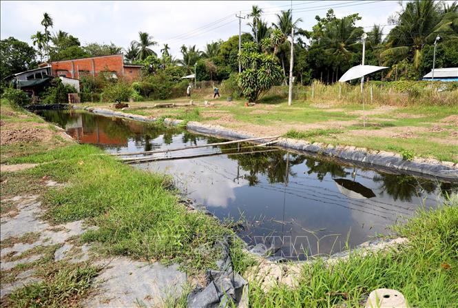 Xâm nhập mặn bủa vây Đồng bằng sông Cửu Long - Bài 1: Khắp nơi chịu hạn mặn