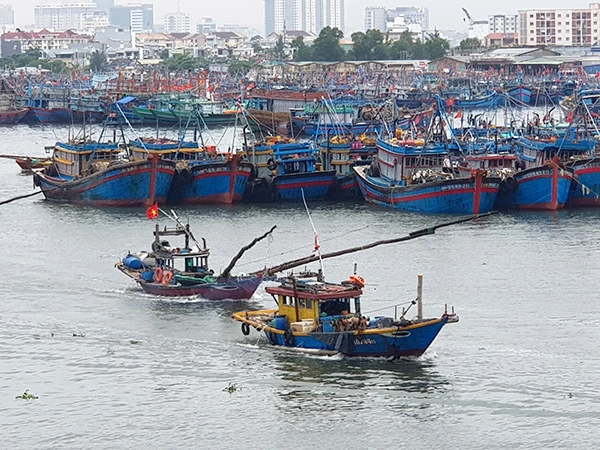 Tàu thuyền của ngư dân Đà Nẵng rời Cảng cá Thọ Quang, ra khơi đánh bắt thuỷ sản.