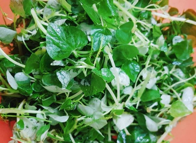 Loại rau xưa mọc đầy vườn giờ lại là đặc sản tranh nhau mua, giá khoảng 35.000 đồng/kg đem làm gỏi cực "đắt khách"