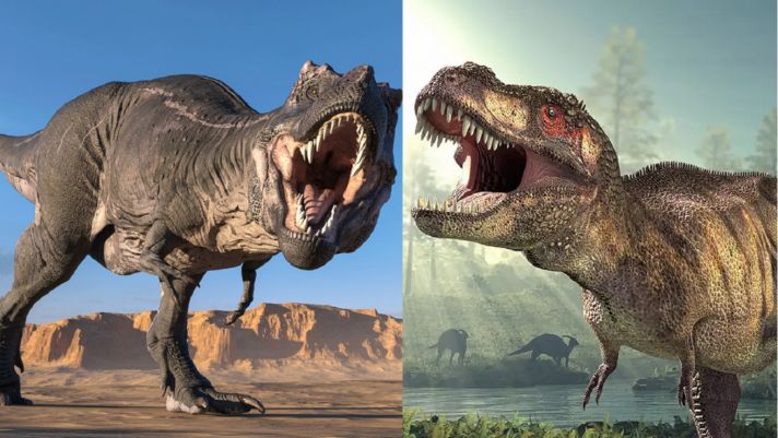 Sự thật bất ngờ về cấu tạo chi trước ngắn ngủn của khủng long bạo chúa Tyrannosaurus