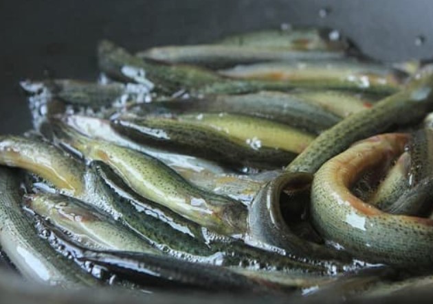 Loại cá giàu canxi gấp 6 lần cá chép, 10 lần cá lăng, được ví là ‘nhân sâm dưới nước'