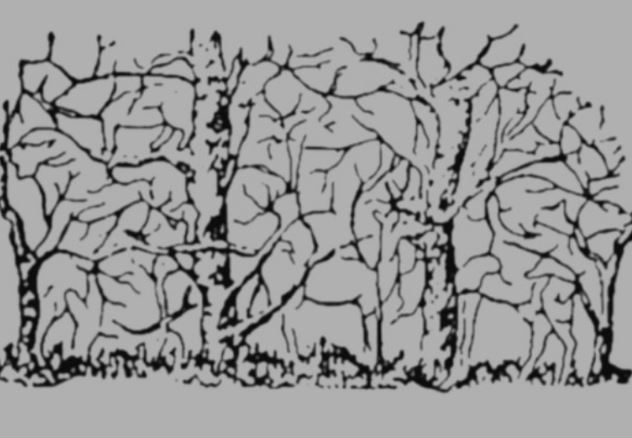 Thử thách tìm 6 loài động vật trong 10 giây: Nếu tìm được chứng tỏ bạn có đôi mắt nhạy bén và khả năng tư duy cực đỉnh