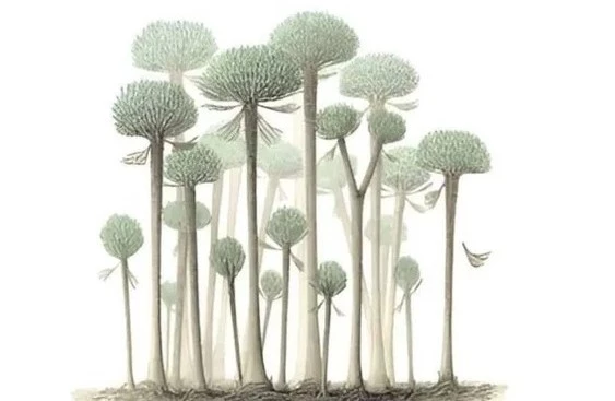 Minh họa về hình dạng của những cái cây trong khu rừng sớm nhất trên Trái đất. (Ảnh: Peter Giesen/Chris Berry)