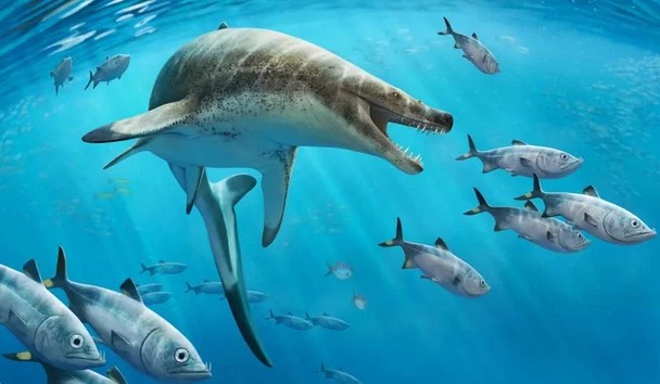 Xuất hiện loài mới: Bò sát biển "ác mộng" dài 8 m