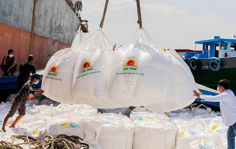 Doanh nghiệp ứng phó với biến động thị trường lúa gạo