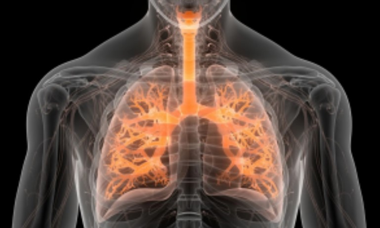 Chuẩn bị thử nghiệm giai đoạn II thuốc chữa bệnh phổi do AI phát triển