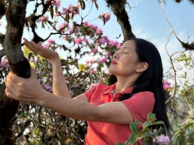 Mê mẩn ngắm hoa Đỗ Quyên nở rực trên đỉnh núi PuTaLeng ảnh 6