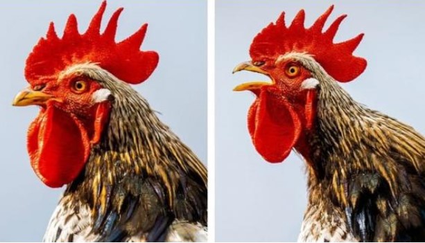 10 sự thật kỳ lạ nghe có vẻ lạ nhưng đã được khoa học chứng minh