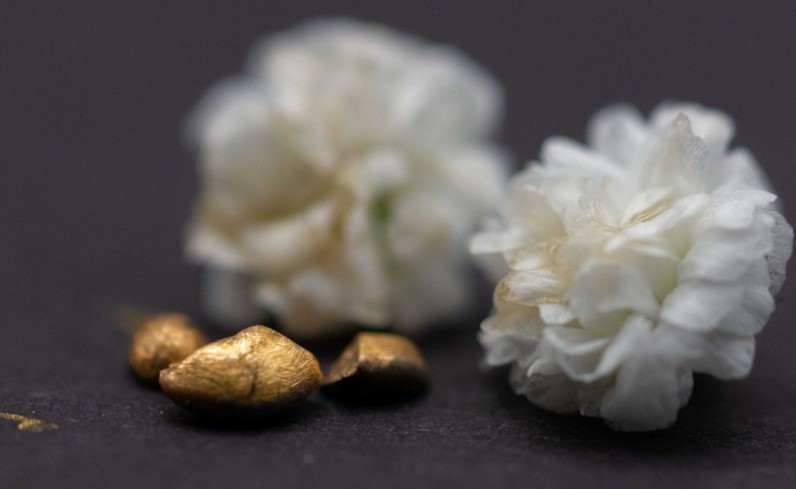 Các nhà khoa học phát triển công nghệ biến ‘phế liệu’ thành vàng ròng