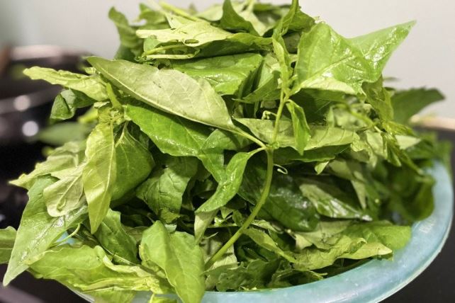Loại rau xưa cho không ai lấy giờ người thành phố lại ưa chuộng, 5000 đồng được mớ to, xào tỏi ăn cực bắt cơm