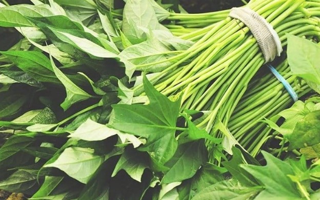 3 loại rau không thể trồng hóa chất thường mọc dại, nhưng bổ ngang nhân sâm, tổ yến: Đặc biệt loại thứ 2