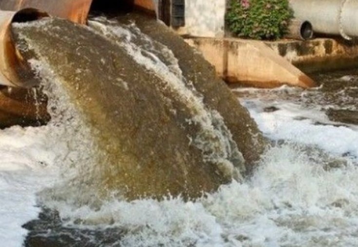 Ba thứ này xuất hiện sau nhà sẽ ảnh hưởng đến phong thủy