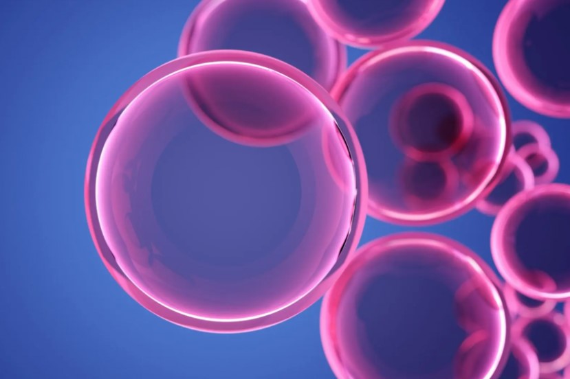 Tiến bộ khoa học: Giải mã bí ẩn của Protein và quá trình lão hóa ở người