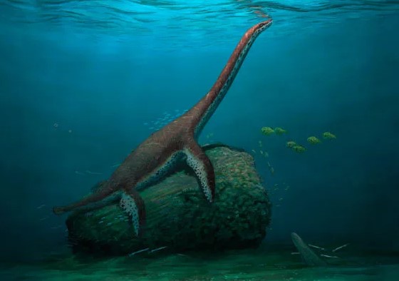 Lộ diện 'quái vật hồ Loch Ness' hoàn toàn mới ở Đức