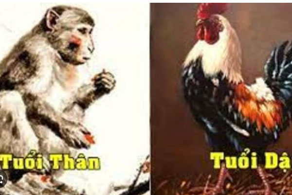 4 con giáp nữ siêu phát tài: May mắn ngập tràn, phước lộc tự tìm đến