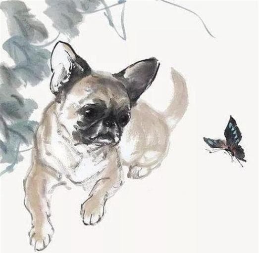 meo-10.jpg 2 tử vi, con giáp, cung hoàng đạo, con giáp may mắn