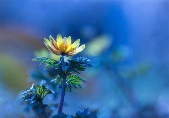 1-cuoc-doi-khong-duoc-thieu-dieu-nay-ngoisaovn-w640-h448 1 cuộc sống quanh ta, những điều cần biết trong đời, cuộc đời cần biết điều này