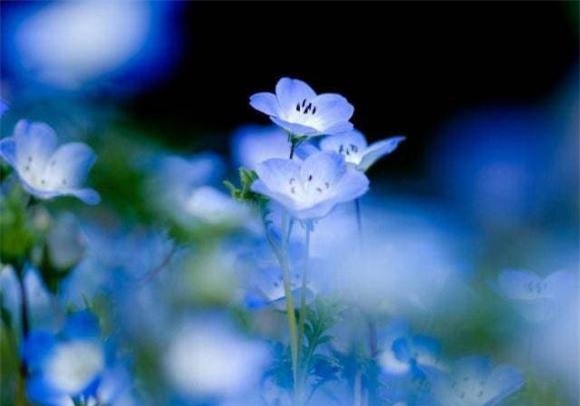 2-cuoc-doi-khong-duoc-thieu-dieu-nay-ngoisaovn-w640-h448 0 cuộc sống quanh ta, những điều cần biết trong đời, cuộc đời cần biết điều này