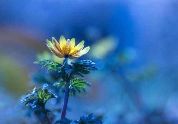 Khi một người 50 tuổi, anh ta nhận ra rằng ngoài nghèo, điều đáng sợ hơn là ba vấn đề này