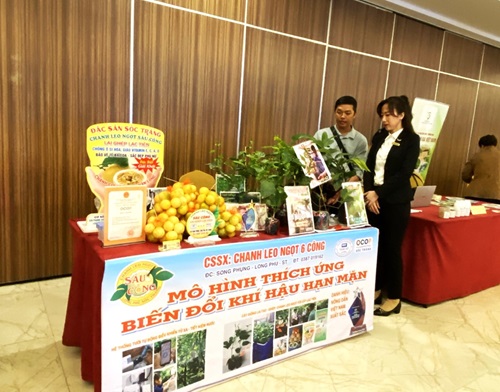 Hỗ trợ doanh nghiệp Đồng bằng sông Cửu Long chuyển đổi xanh, giảm phát thải