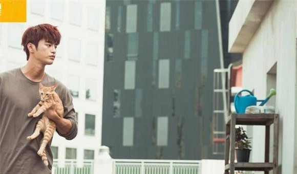 tình yêu, ly hôn, hạnh phúc gia đình