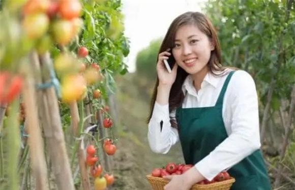 ngon-tay-ngan (1).jpg 1 tướng người, tướng tay, xem tay, tử vi, quan niệm thời xưa khi nhìn người