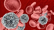 Thành công loại bỏ virus HIV bằng công nghệ chỉnh sửa gen trong phòng thí nghiệm