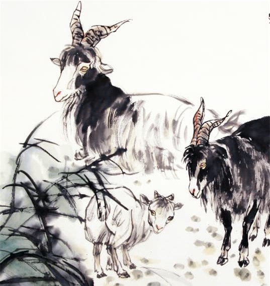 cho-19.jpg 0 mẹ chồng, con giáp