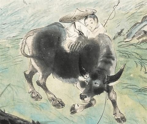 con-giap (17).jpg 2 mẹ chồng, con giáp