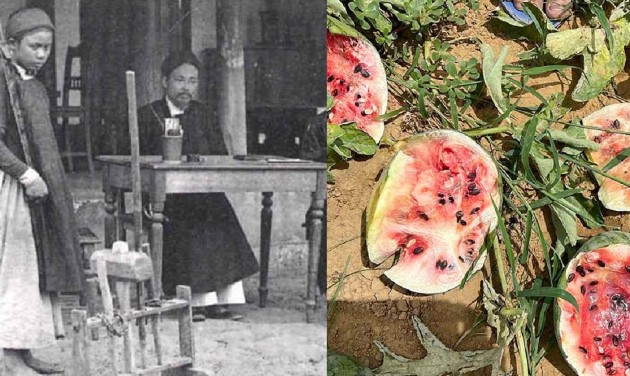 'Thần thám' Việt Nam sánh ngang với Bao Thanh Thiên, cho người liếm xẻng tìm được kẻ phá ruộng dưa